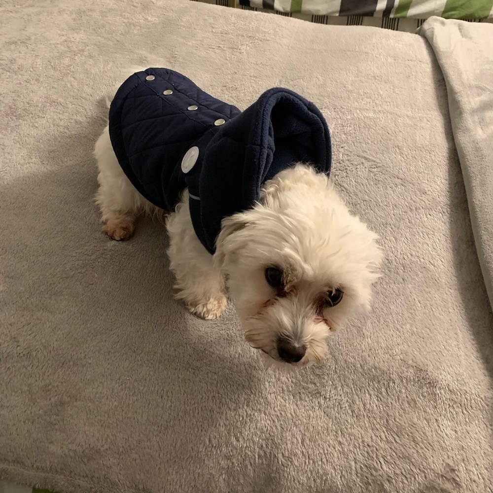 Meet your Posher, Eric